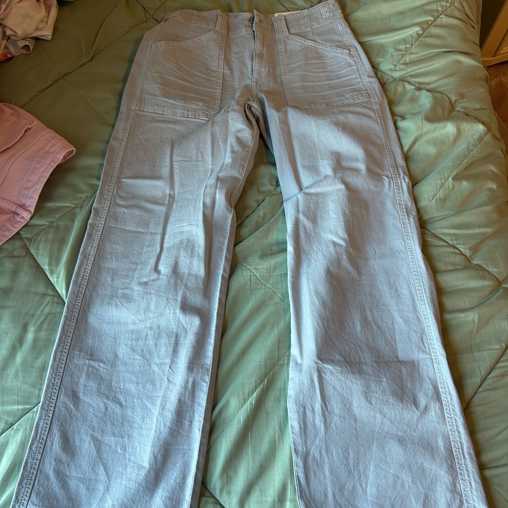 American Eagle Outfitters Light Gray Pants